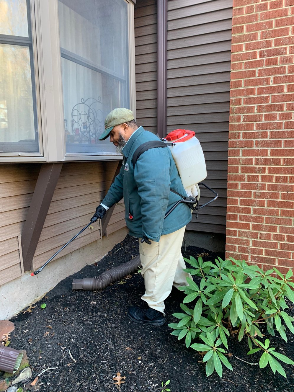 How Often Should Pest Control Be Done?